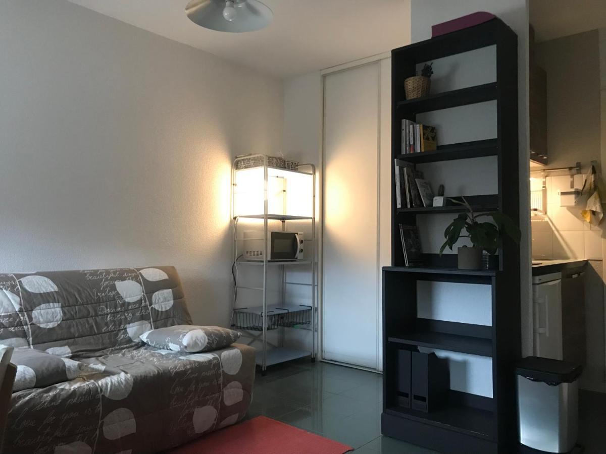 Appartement Dans Toulouse Hyper Centre Exterior foto